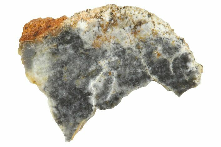 Lunar Meteorite ( g) Slice - Bechar #360546